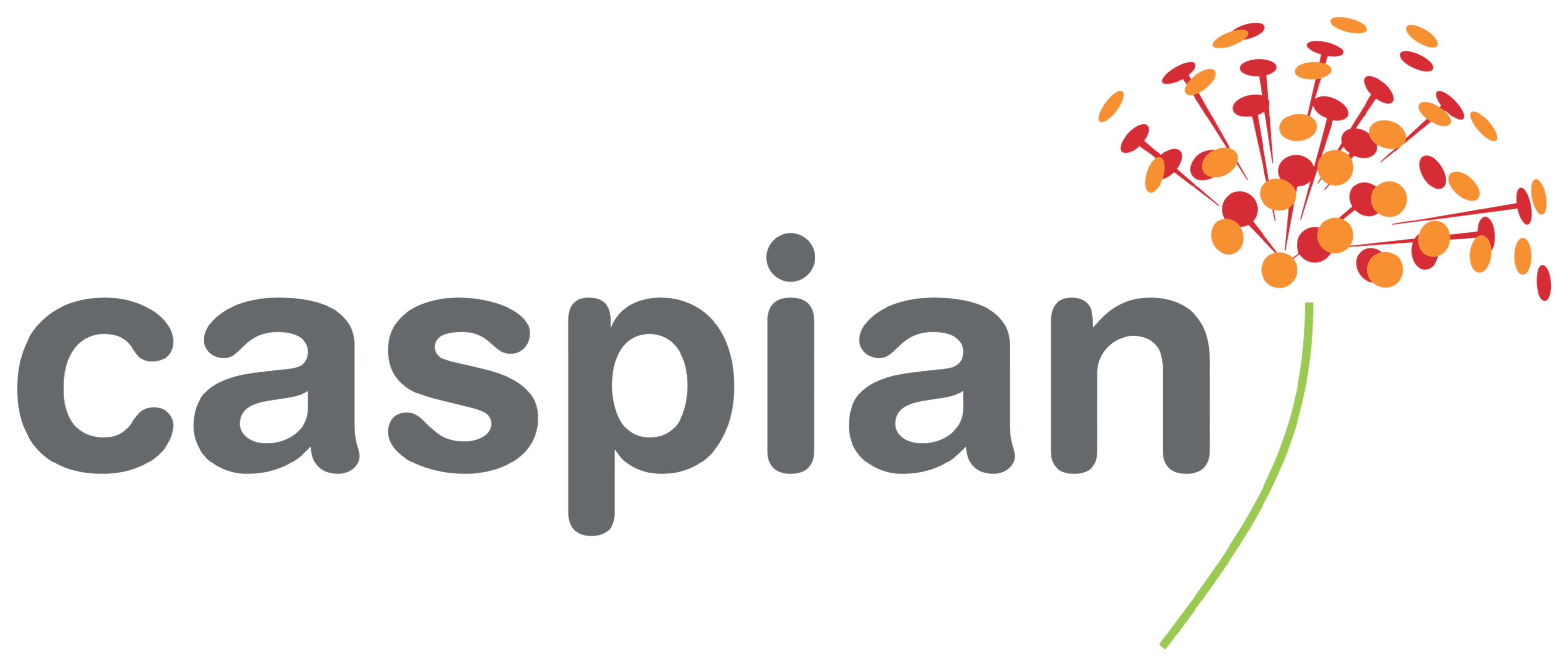 Caspian Impact