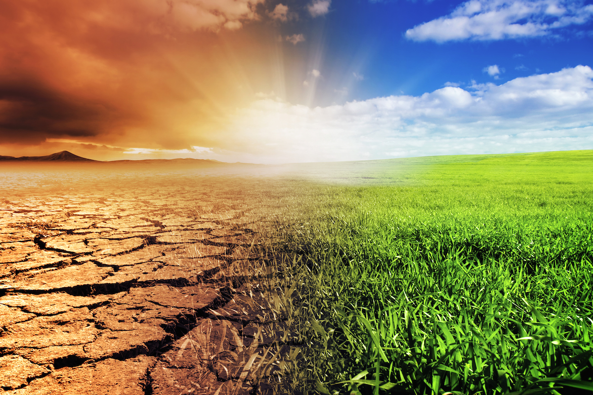 Climate Change Adaptation Strategies for Agri-entrepreneurs